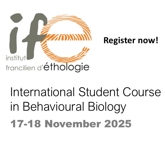 IFE course
