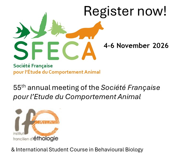 SFECA 2026