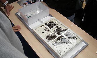 nid de Camponotus exposé pour Savante banlieu à l'université Paris XIII